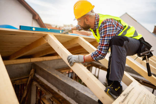 Roof Gutter Cleaning in Thomasville, GA